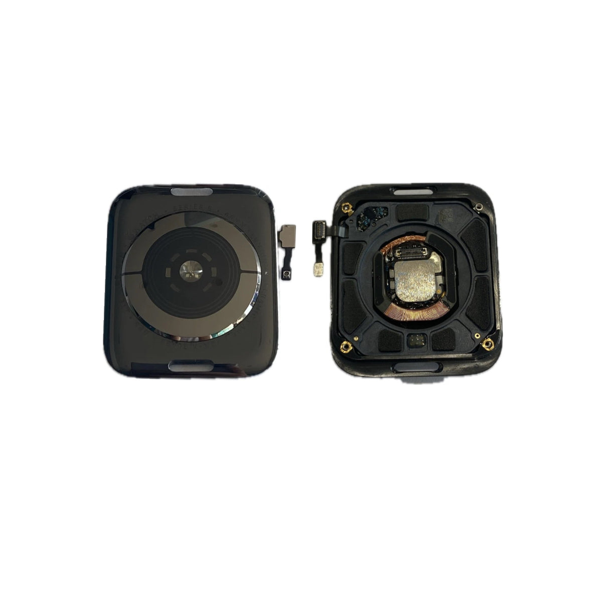 Back Cover For Apple Watch Series 5 (44mm)