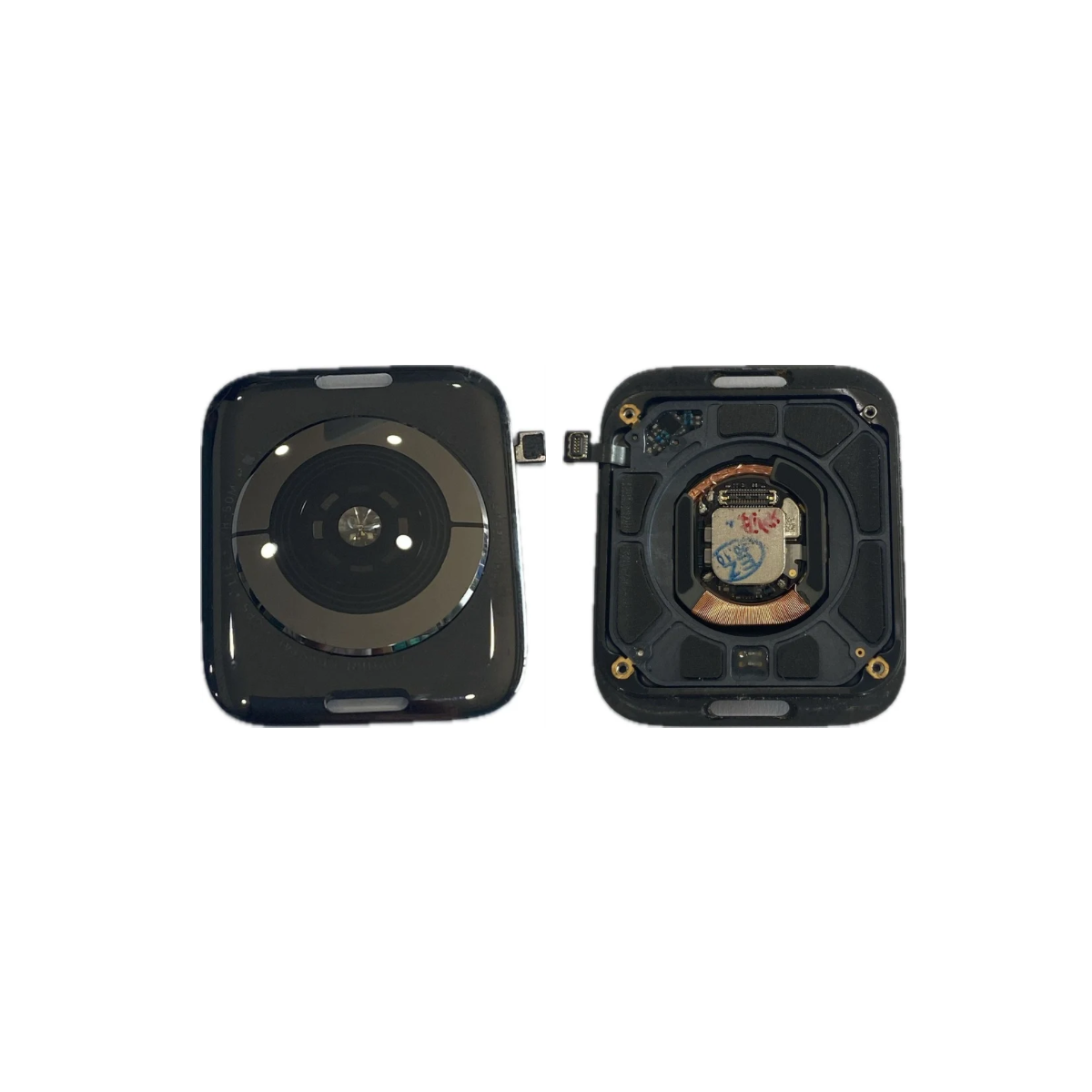 Back Cover For Apple Watch Series 4 (44mm)
